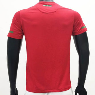 Retro Portugal Home Shirt 2010/2011 - That Retro Shirt Store