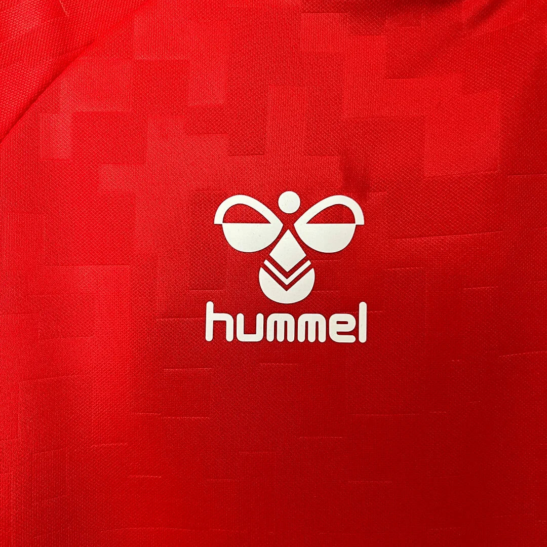 Denmark National Team Home Shirt 2024